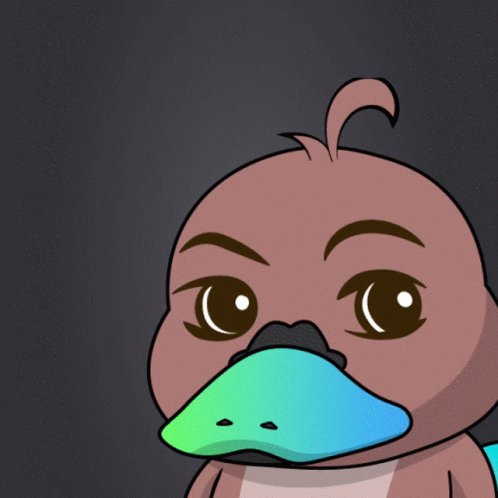 Platypus Ptp GIF