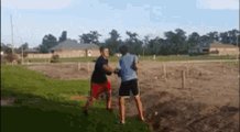 Fight Boxing GIF