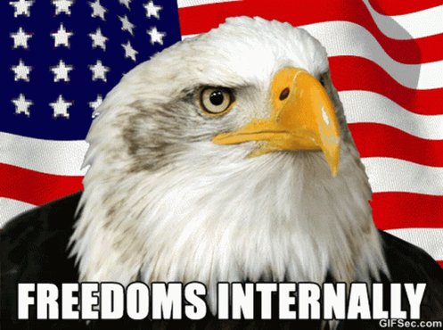 Freedoms Internally Freedom GIF