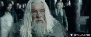 Gandalf The White GIF