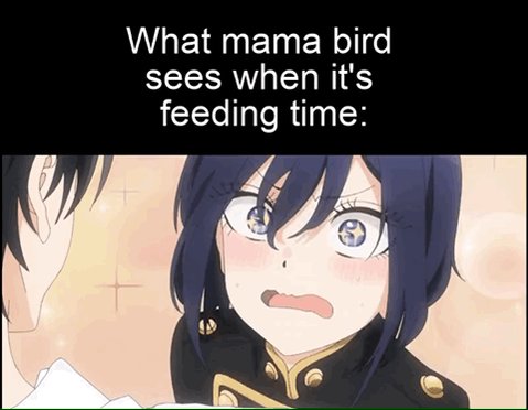 Anime Memes Youtube (@animemeyoutube) / Twitter Anime Memes Youtube (@animemeyoutube) / Twitter
