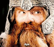 Lord Of The Rings Aye GIF