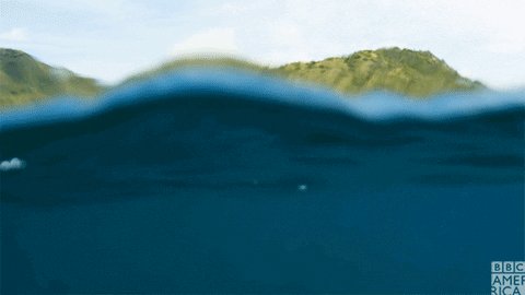 Image of this social media content