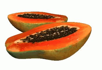 Papaya GIF