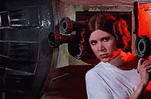 Star Wars Princess Leia GIF