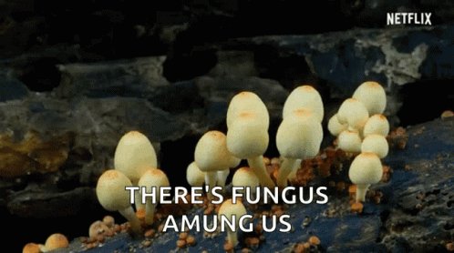 Mushroom Growing GIF