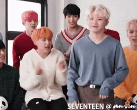Seventeen Jihoon GIF