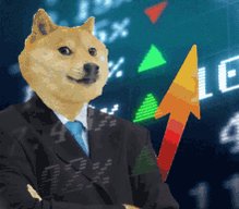 Doge Dogecoin GIF