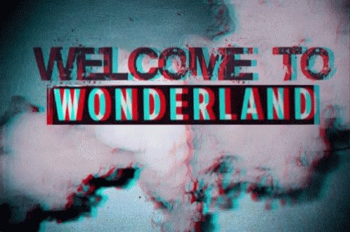 Welcome To Wonderland GIF