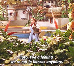 judy garland GIF