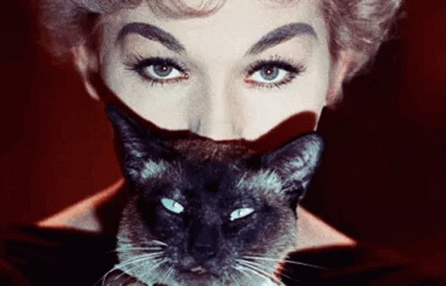 Happy Birthday, Kim Novak                           