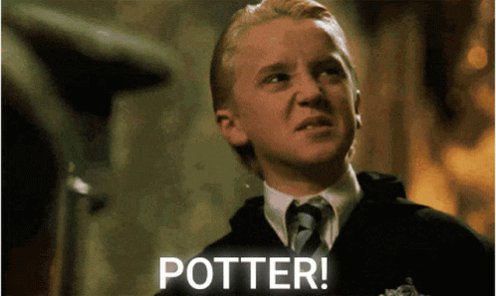 Potter Ppotter GIF