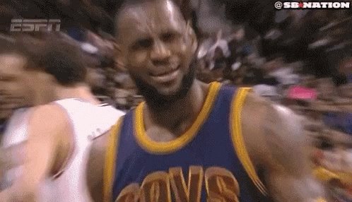 What Lebron James GIF