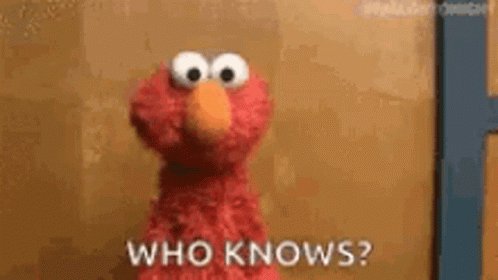 Elmo Who Knows GIF