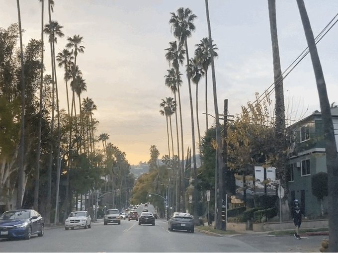 https://t.co/dcVo6OW0pS<a href="/tag/beverlyhills90211"class="tags"><span>#beverlyhills90211</span></a>