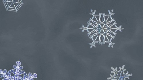 snow winter GIF by PBS Digi...