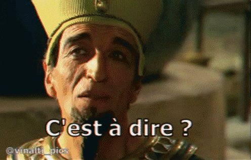 Asterix Vinalti GIF