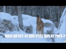 Froid Asterix GIF