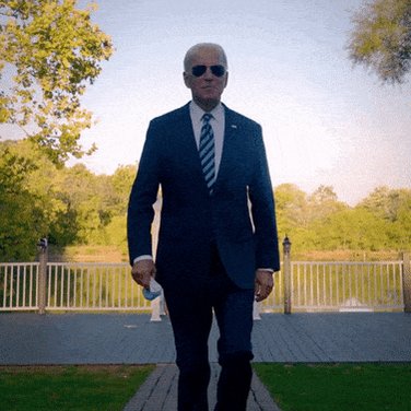 Election 2020 Hello GIF by ...