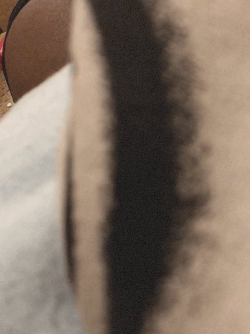 I Spy- #Clt #Dmv #Dl704 https://t.co/j3rjiWXP8a<a href="/tag/clt"class="tags">#Clt</a><a href="/tag/dmv"class="tags">#Dmv</a><a href="/tag/dl704"class="tags">#Dl704</a>