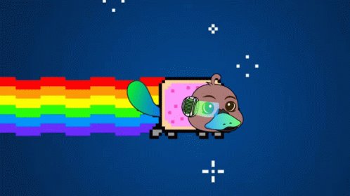 Platypus Ptp Platypus GIF