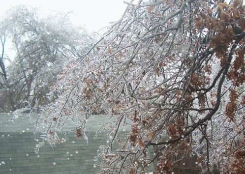 Ice Storm GIF