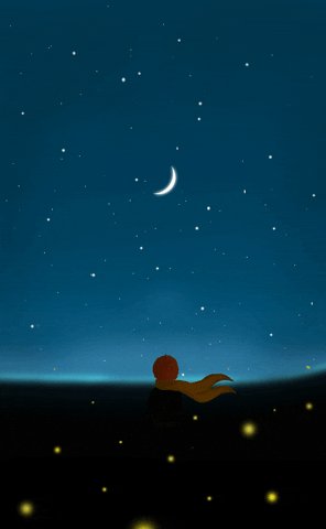 Little Prince Animation GIF...