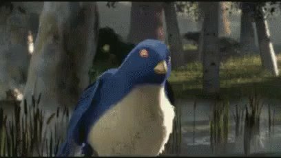 Explodindo Pássaro Boom Explosão Shrek GIF