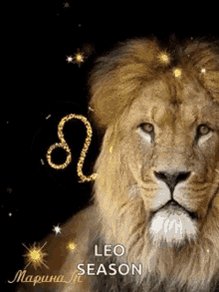 Leo Leo Season GIF