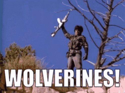 Red Dawn Wolverines GIF