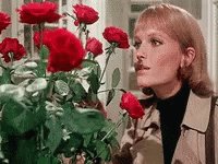 Happy 78th Birthday Mia Farrow

Have a lovely day. 