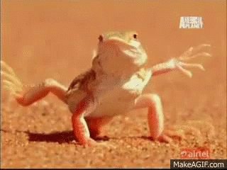 Frog standing on hot sand, trying to keep its feet in the ai