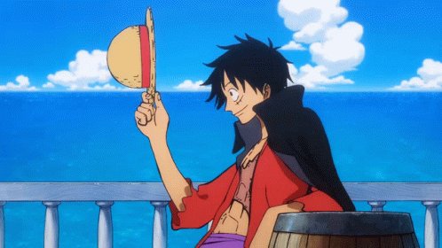 One Piece1000 GIF