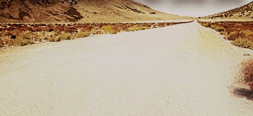 Tumbleweed Desert GIF