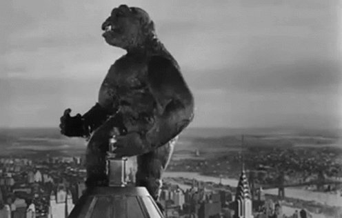 Kingkong1976 GIF