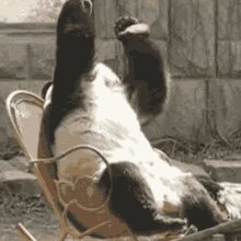 Facepalm Chair GIF