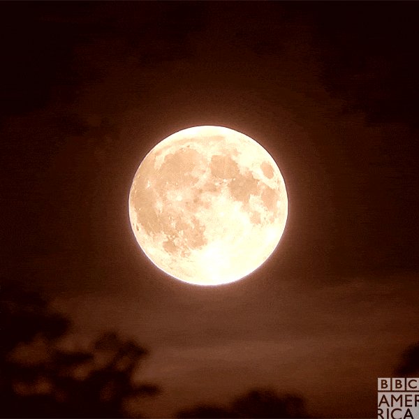 Full Moon Space GIF by BBC ...