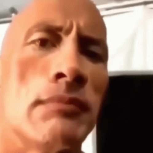 The Rock eyebrow meme