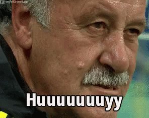 Vicente Del Bosque GIF