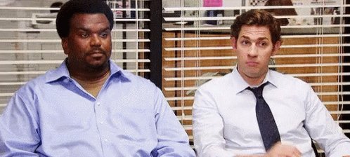 Bros The Office GIF