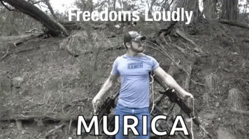 Freedom Freedoms GIF