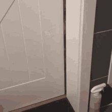 Cat Door GIF