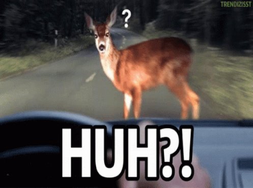 Huh Surprised GIF