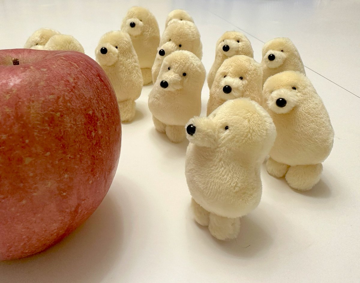 空想アパートメント　豆粒ぐらいのぬいぐるみ Amazon.co.jp: 未開封 空想アパートメント 豆粒ぐらい