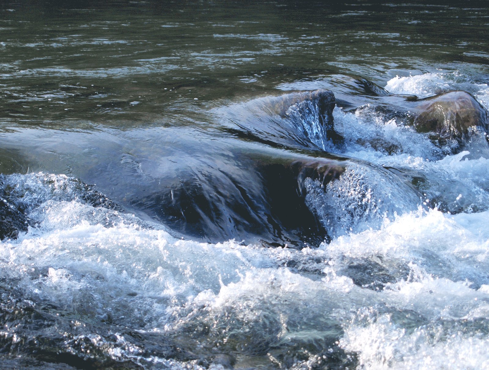 Реки воды живой