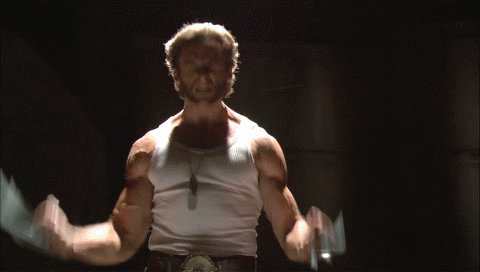 Wolverine GIF