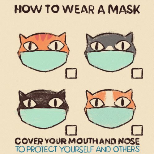 How To Wear A Mask Cover Yo...