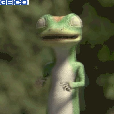Comedy Laughing GIF by GEICO