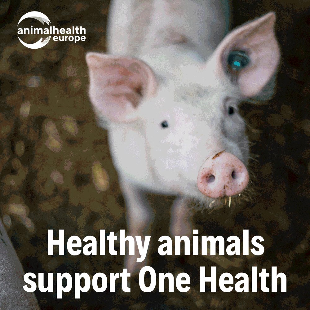 AnimalhealthEurope (@animalhealthEU) / Twitter AnimalhealthEurope (@animalhealthEU) / Twitter
