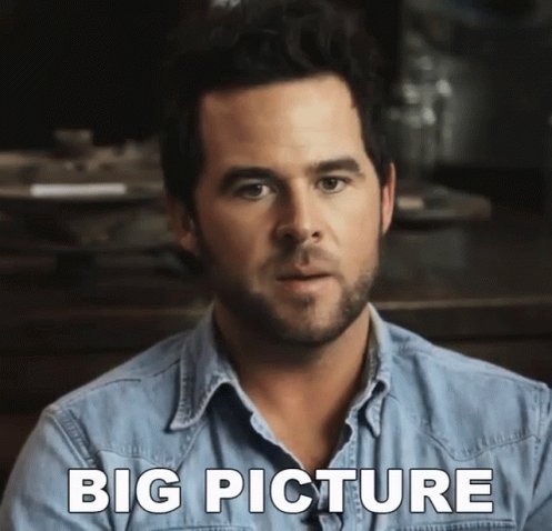 Big Picture Broad View GIF